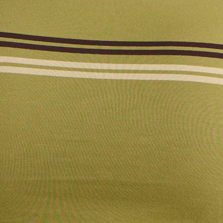Amabon Long Sleeve Top in Cress Green Stripe