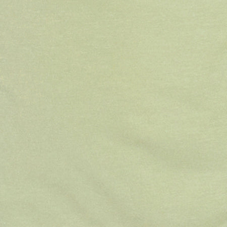 Aravie Ruched Bandeau Top in Pistachio