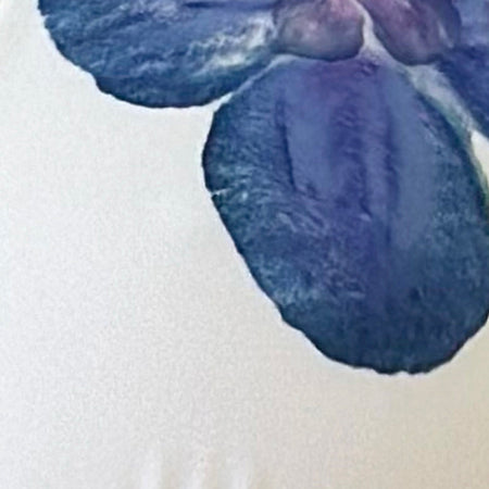 Cerry Bikini Top in Ivory with Blue Orchid