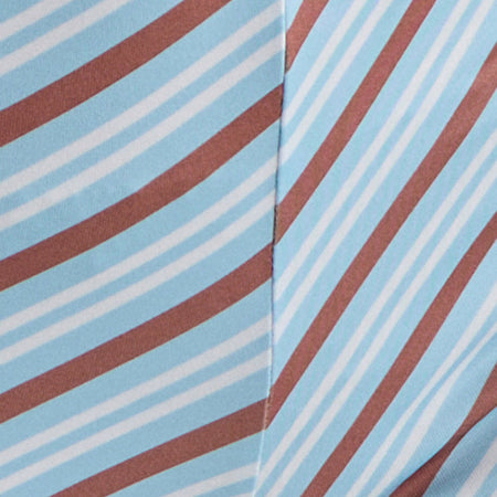 Ciana Hot Pants in Diagonal Stripe Light Blue