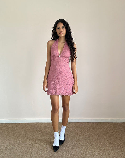 Image of Codami Halterneck Mini Dress in Lace Dusty Rose