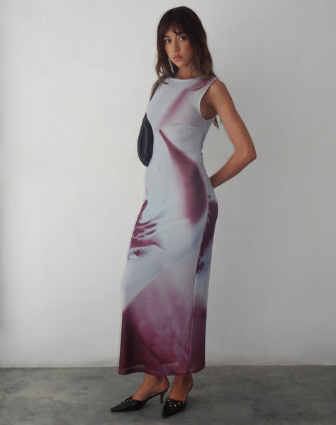 image of Fayola Printed Maxi Dress in Grey Anatomy of Nature