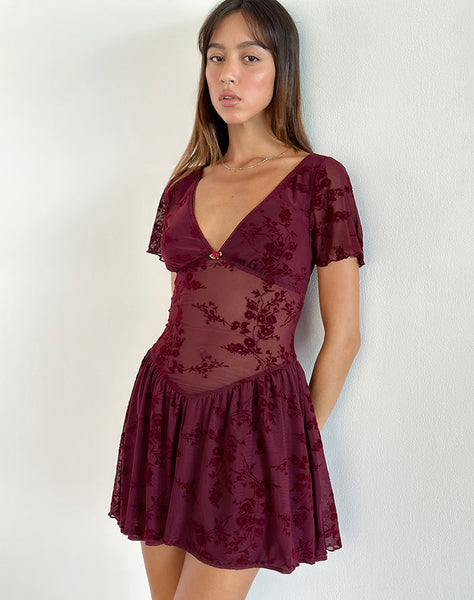 Image of Geni Mini Dress in Botanical Flower Maroon