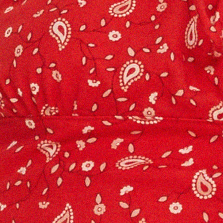 Hema Crop Top in Paisley Fun Red