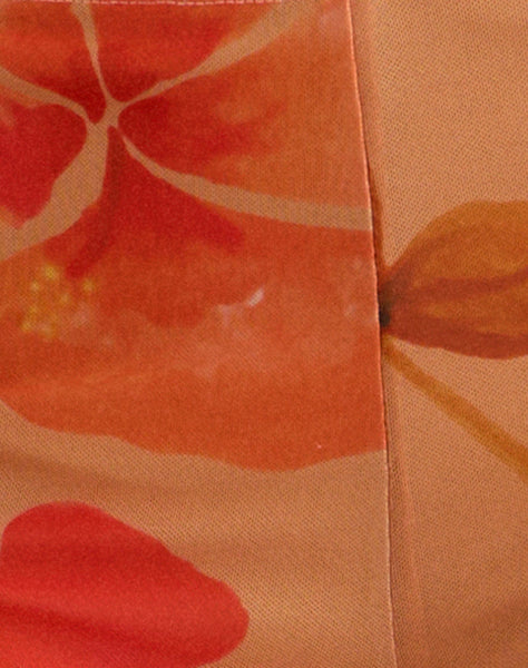 [swatch-hide]