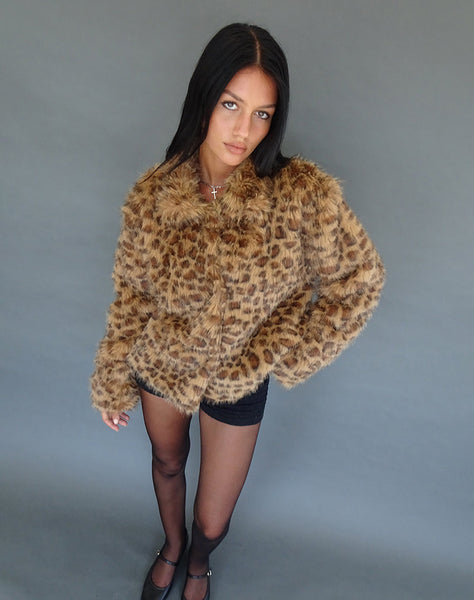 Image of Joji Crop Faux Fur Jacket in Brown Leopard