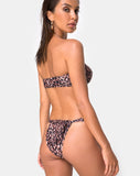 Image of Nakeela Bikini Bottom in Magic Leopard