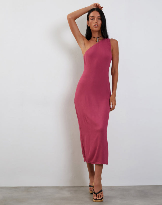 image of Namjun One Shoulder Midi Dress in Daco Rose Crinkle