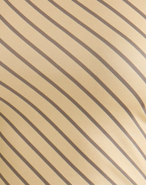 [swatch-hide]