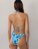 Image of Pami Bikini Top in Blue Flower