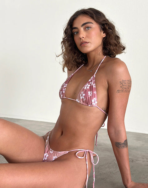 Image of Lentra Bikini Bottom in Hibiscus Floral