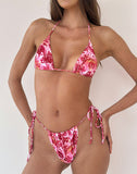 Image of Pami Bikini Top in Orchid Pink