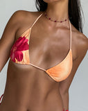 Image of Pami Bikini Top in Orange Flower