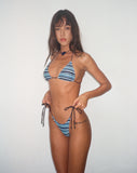 Image of Pami Bikini Top in Stripe Blue with Brown Tie