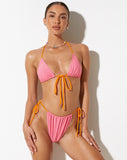 image of Leyna Bikini Bottom in Pink Terry