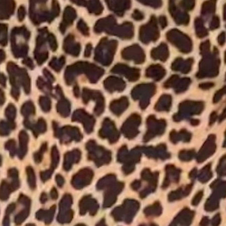 Pravara Mini Skirt in Leopard Print