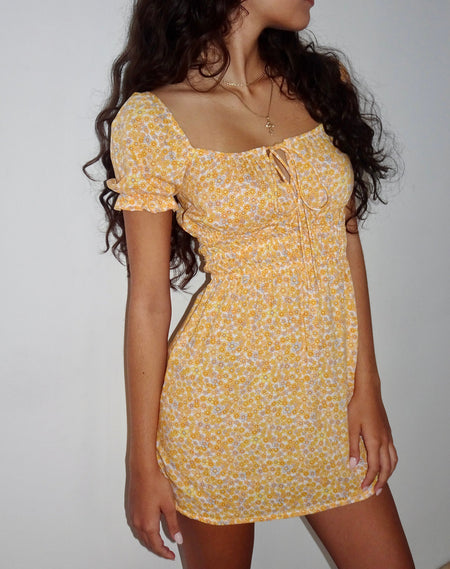 Sasyana Mini Dress in Flower Chain Cream