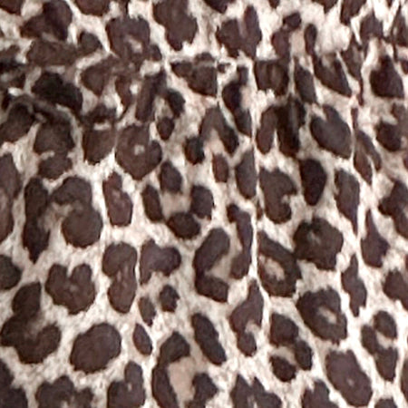 Ryota Tie Front Blouse in Leopard Sandstorm