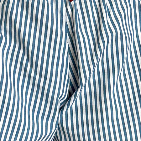 Rata Shorts in Blue Small Vertical Stripe