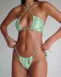 Image of Leyna Bikini Bottom in Abstract Paisley Green