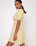 Carie Dress in Wild Flower Lemon Drop