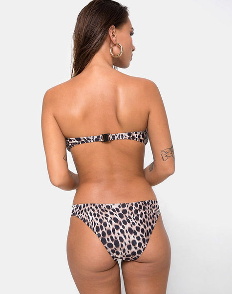 Cleo Bikini Top in Original Cheetah