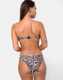 Cleo Bikini Bottom in Original Cheetah