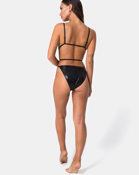 Conis Swimsuit in Snake Black