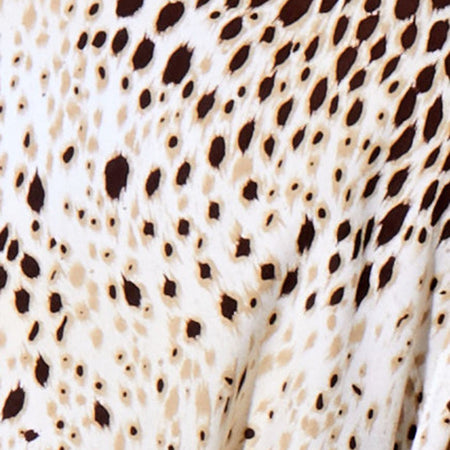 Datista Dress in Sand Leopard