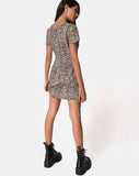 Elara Tea Dress in Rar Leopard Brown