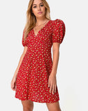 Elfira Dress in Falling for You Floral Red