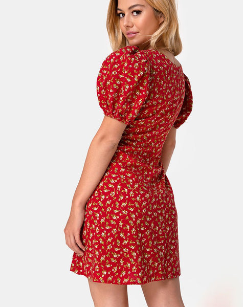 Elfira Dress in Falling for You Floral Red