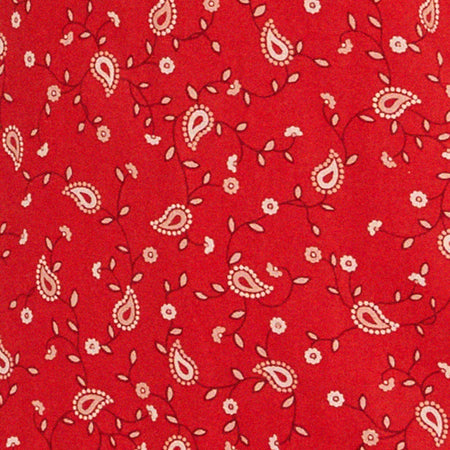 Eluned Day Dress in Paisley Fun Red