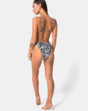 Evako Bikini Bottom in Mini Zebra Black Cream
