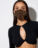 Face Mask in Night Leopard Brown