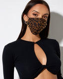 Face Mask in Night Leopard Brown