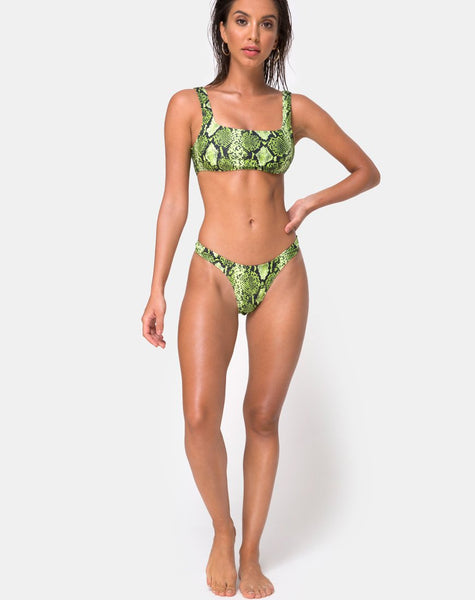 Farida Bikini Top in Slime Lime Snake