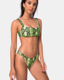 Farida Bikini Bottom in Slime Lime Snake