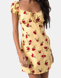 Gaval Mini Dress in Falling Rose Yellow