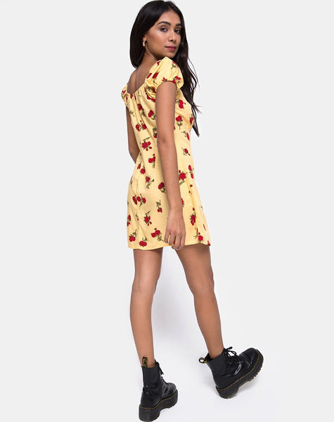 Gaval Mini Dress in Falling Rose Yellow