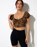 Glafy Crop Top in Night Leopard Brown