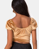 Glaty Top in Velvet Gold