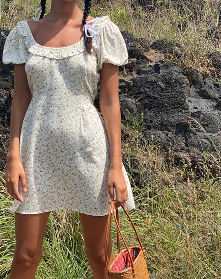 Alaca Mini Dress in Pretty Petal Ivory