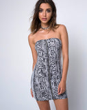 Jedrie Mini Dress in Snake