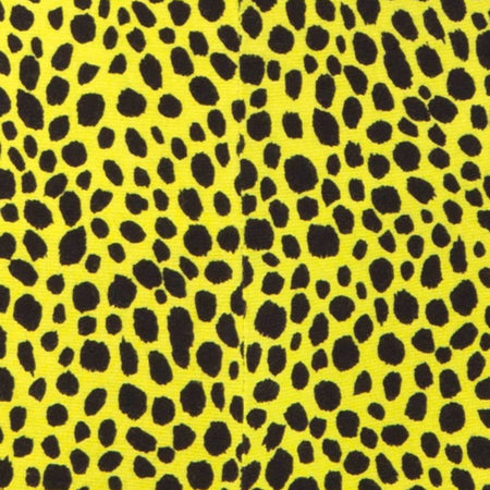 Jeevan Top in Wild Cat Yellow  X Princess Polly