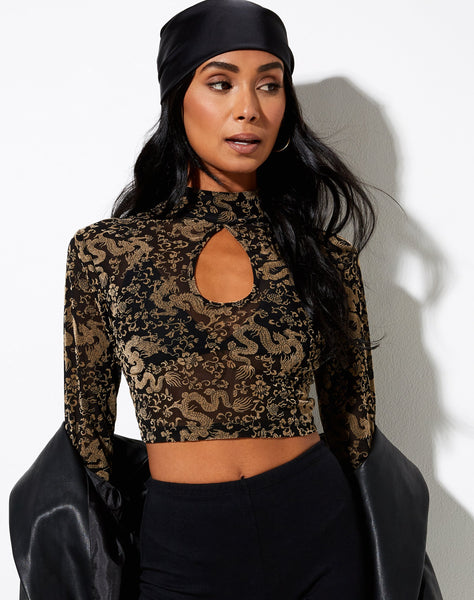 Jilsa Long Sleeve Top in Black Mesh Tan Dragon Flock