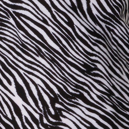 Juvina Slip Dress in Classic Zebra