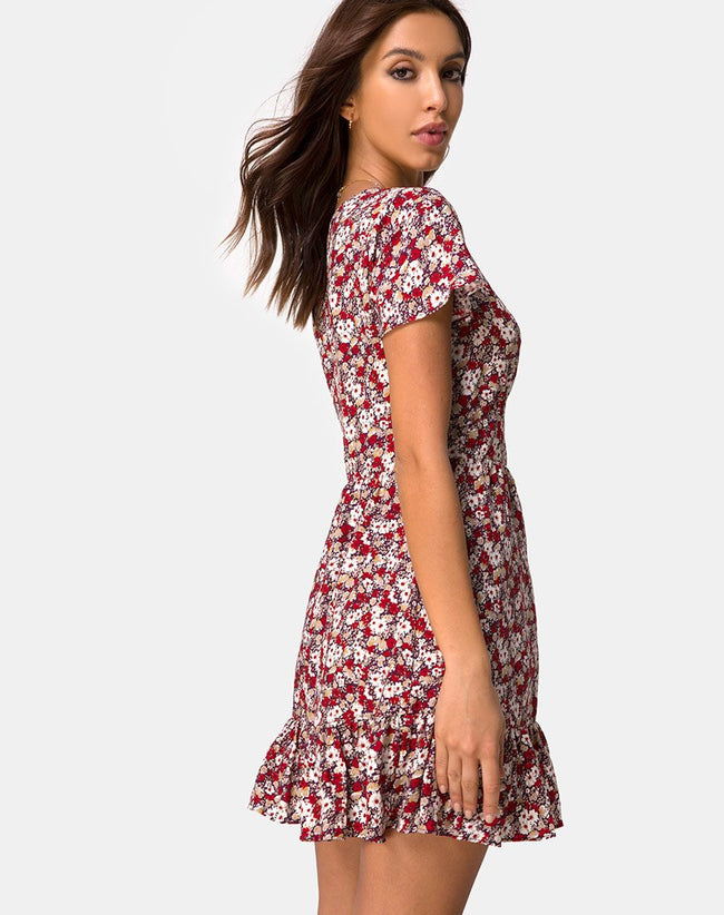 Laily Skater Dress in Floral Charm Red