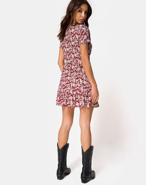 Laily Skater Dress in Floral Charm Red