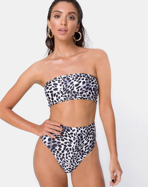 Lien Bikini Bottom in Dalmatian